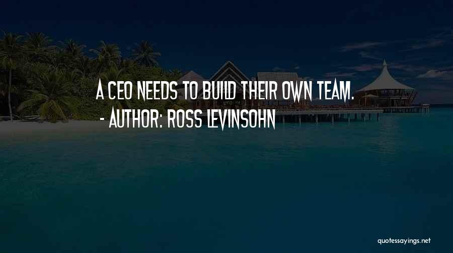 Ross Levinsohn Quotes: A Ceo Needs To Build Their Own Team.