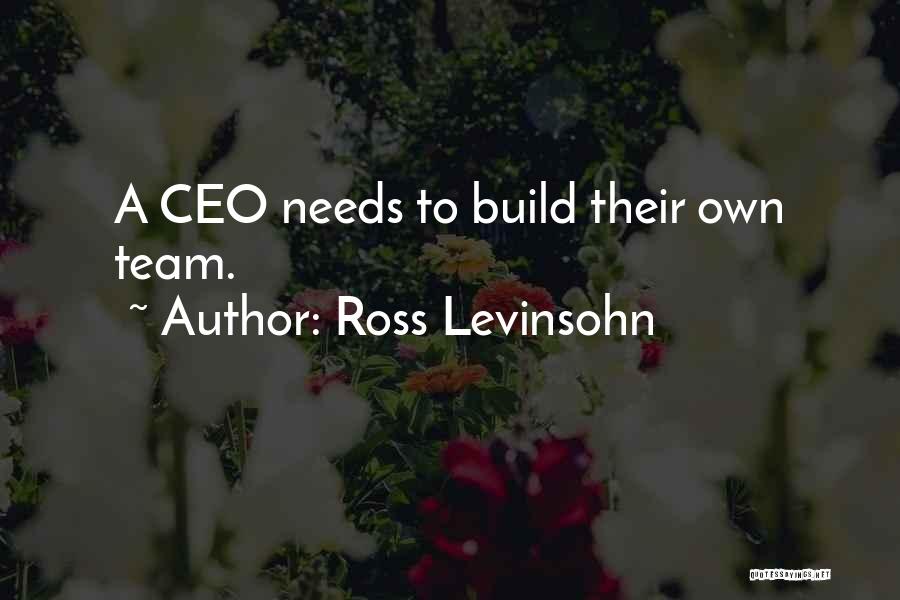 Ross Levinsohn Quotes: A Ceo Needs To Build Their Own Team.