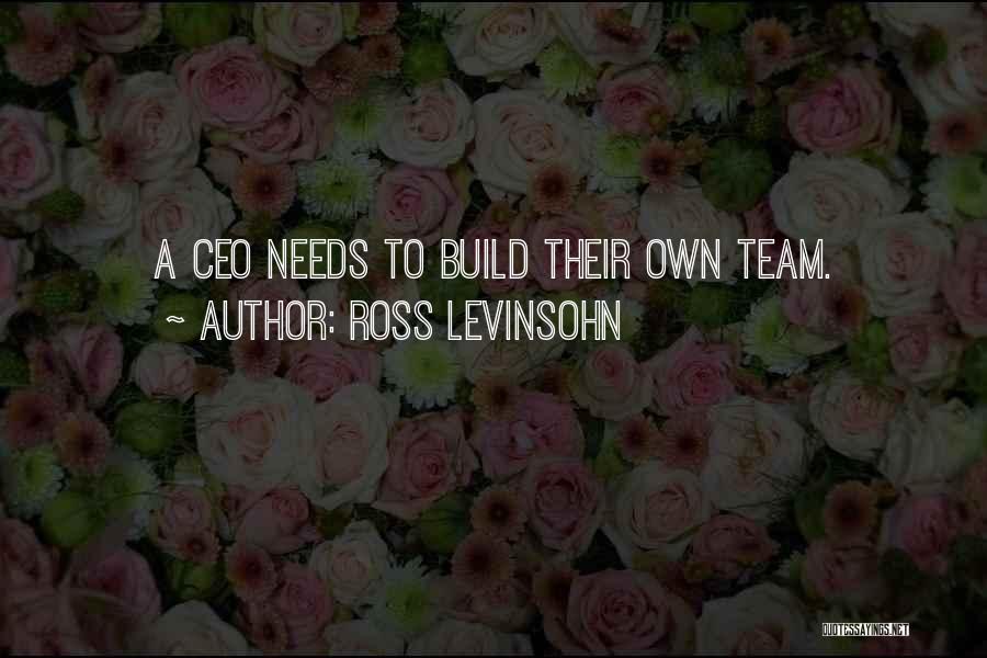 Ross Levinsohn Quotes: A Ceo Needs To Build Their Own Team.