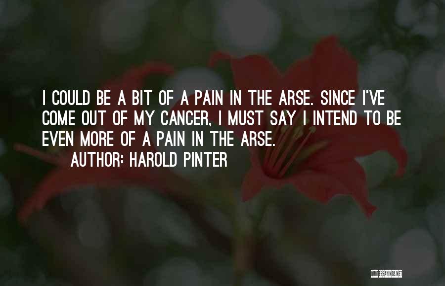 Harold Pinter Quotes: I Could Be A Bit Of A Pain In The Arse. Since I've Come Out Of My Cancer, I Must