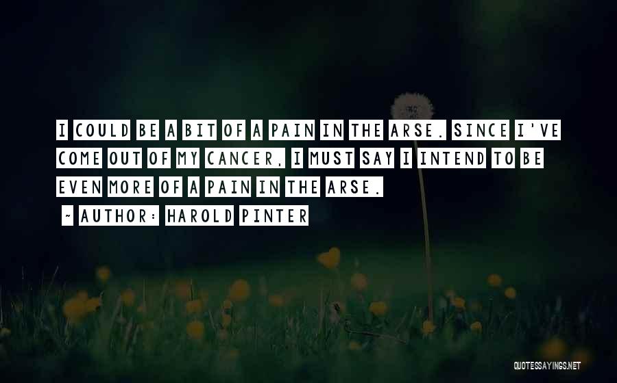 Harold Pinter Quotes: I Could Be A Bit Of A Pain In The Arse. Since I've Come Out Of My Cancer, I Must