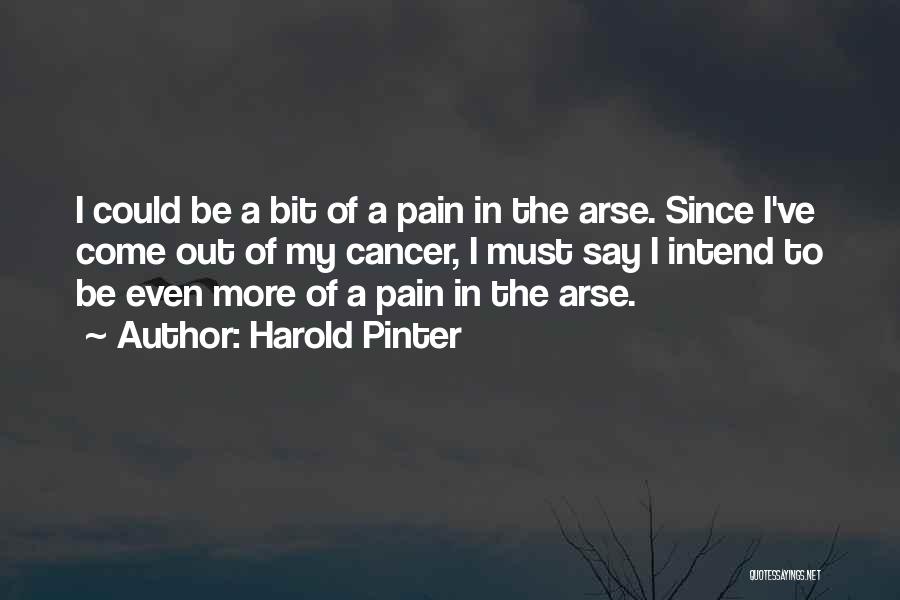 Harold Pinter Quotes: I Could Be A Bit Of A Pain In The Arse. Since I've Come Out Of My Cancer, I Must