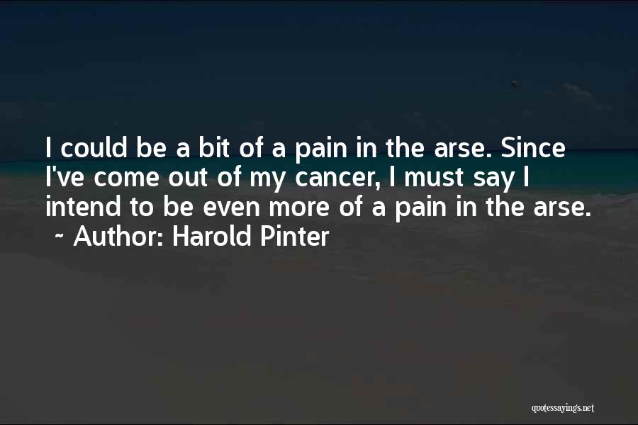 Harold Pinter Quotes: I Could Be A Bit Of A Pain In The Arse. Since I've Come Out Of My Cancer, I Must