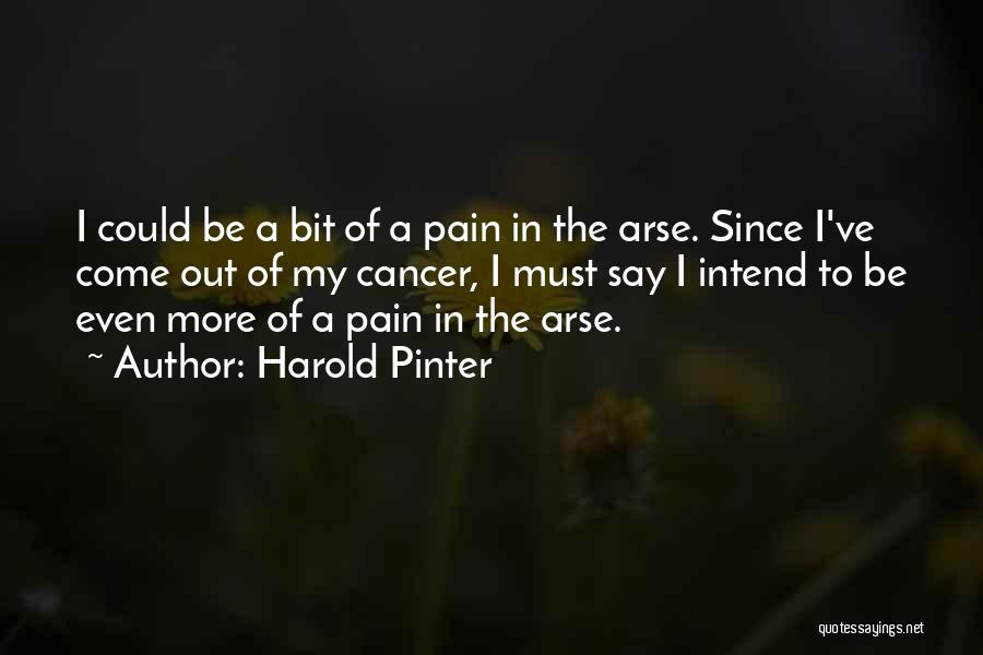 Harold Pinter Quotes: I Could Be A Bit Of A Pain In The Arse. Since I've Come Out Of My Cancer, I Must