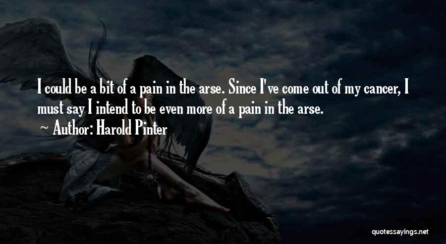 Harold Pinter Quotes: I Could Be A Bit Of A Pain In The Arse. Since I've Come Out Of My Cancer, I Must