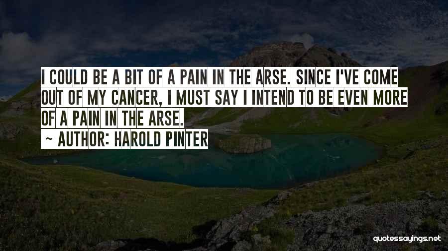 Harold Pinter Quotes: I Could Be A Bit Of A Pain In The Arse. Since I've Come Out Of My Cancer, I Must