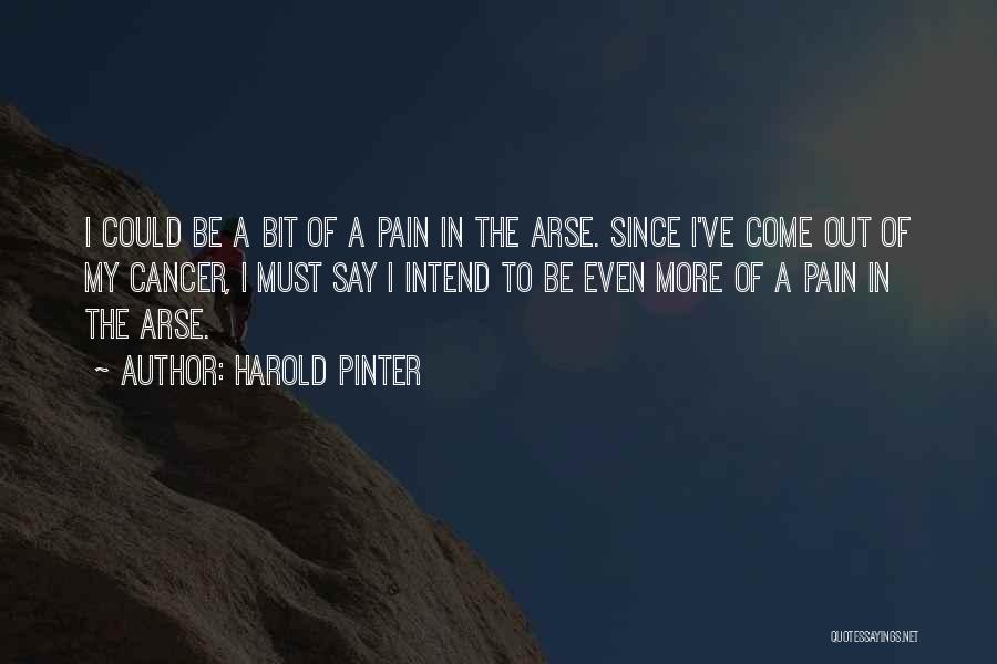 Harold Pinter Quotes: I Could Be A Bit Of A Pain In The Arse. Since I've Come Out Of My Cancer, I Must