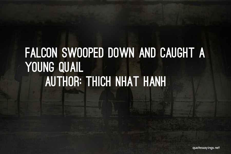 Thich Nhat Hanh Quotes: Falcon Swooped Down And Caught A Young Quail