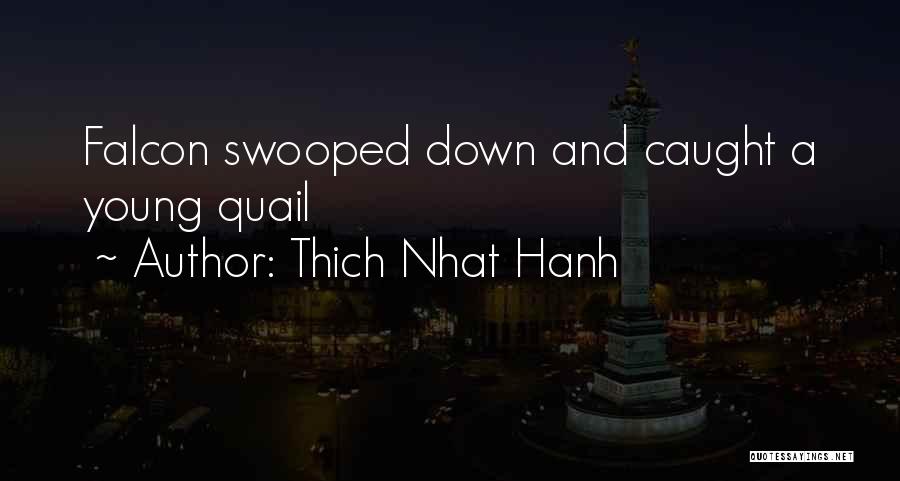 Thich Nhat Hanh Quotes: Falcon Swooped Down And Caught A Young Quail