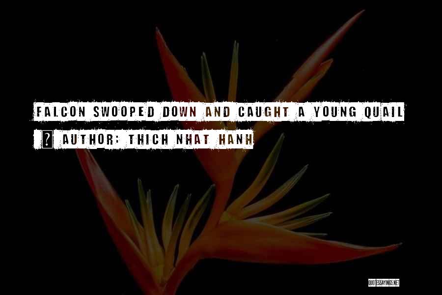 Thich Nhat Hanh Quotes: Falcon Swooped Down And Caught A Young Quail