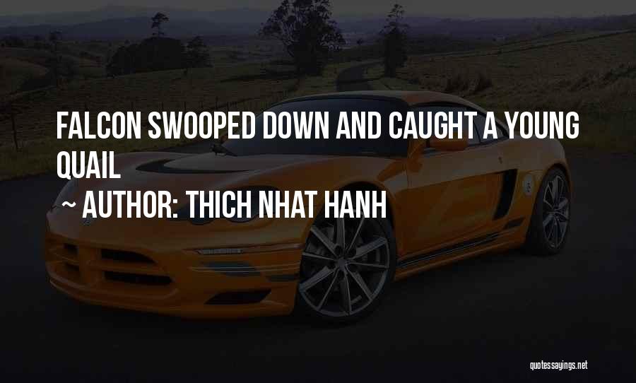 Thich Nhat Hanh Quotes: Falcon Swooped Down And Caught A Young Quail