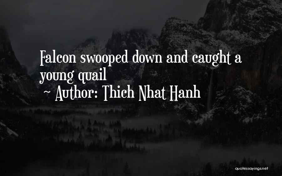Thich Nhat Hanh Quotes: Falcon Swooped Down And Caught A Young Quail