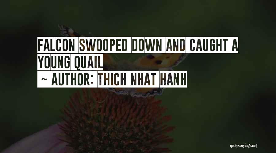 Thich Nhat Hanh Quotes: Falcon Swooped Down And Caught A Young Quail