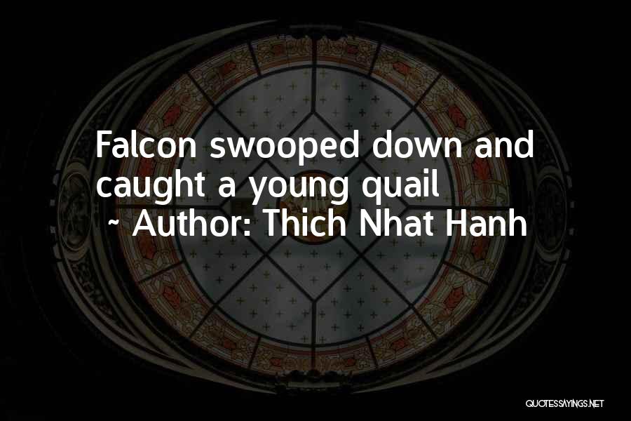 Thich Nhat Hanh Quotes: Falcon Swooped Down And Caught A Young Quail