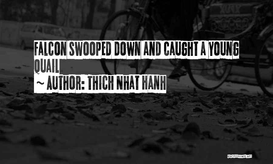 Thich Nhat Hanh Quotes: Falcon Swooped Down And Caught A Young Quail