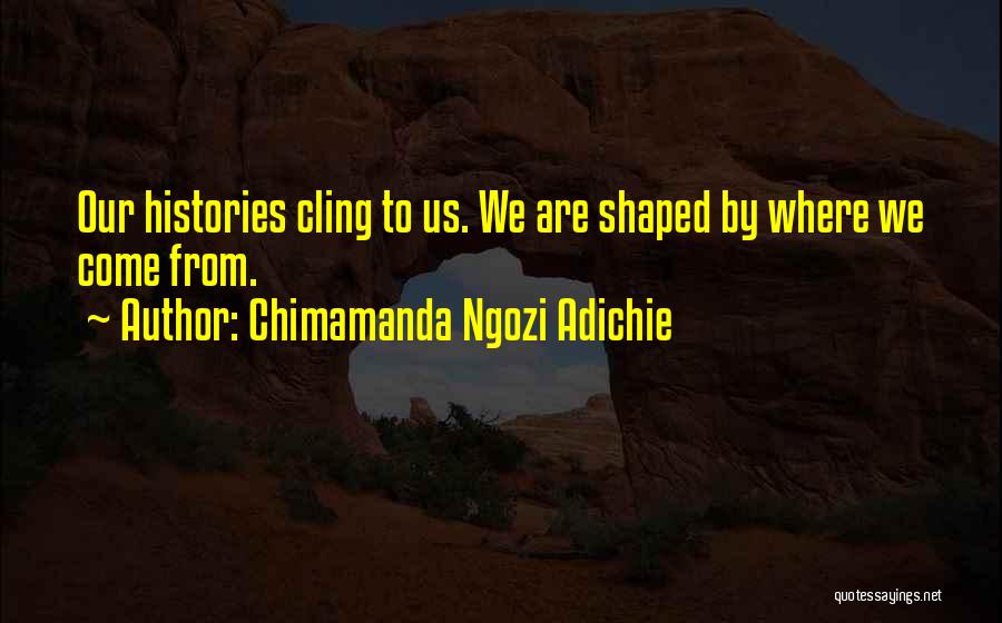 Chimamanda Ngozi Adichie Quotes: Our Histories Cling To Us. We Are Shaped By Where We Come From.