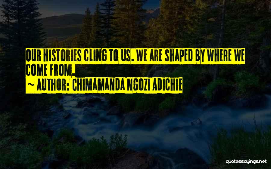 Chimamanda Ngozi Adichie Quotes: Our Histories Cling To Us. We Are Shaped By Where We Come From.