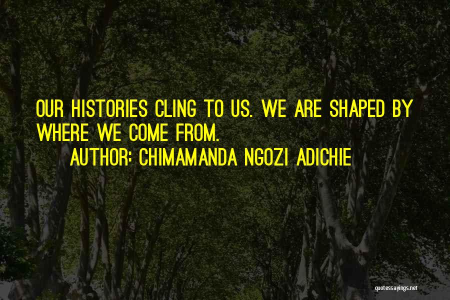Chimamanda Ngozi Adichie Quotes: Our Histories Cling To Us. We Are Shaped By Where We Come From.