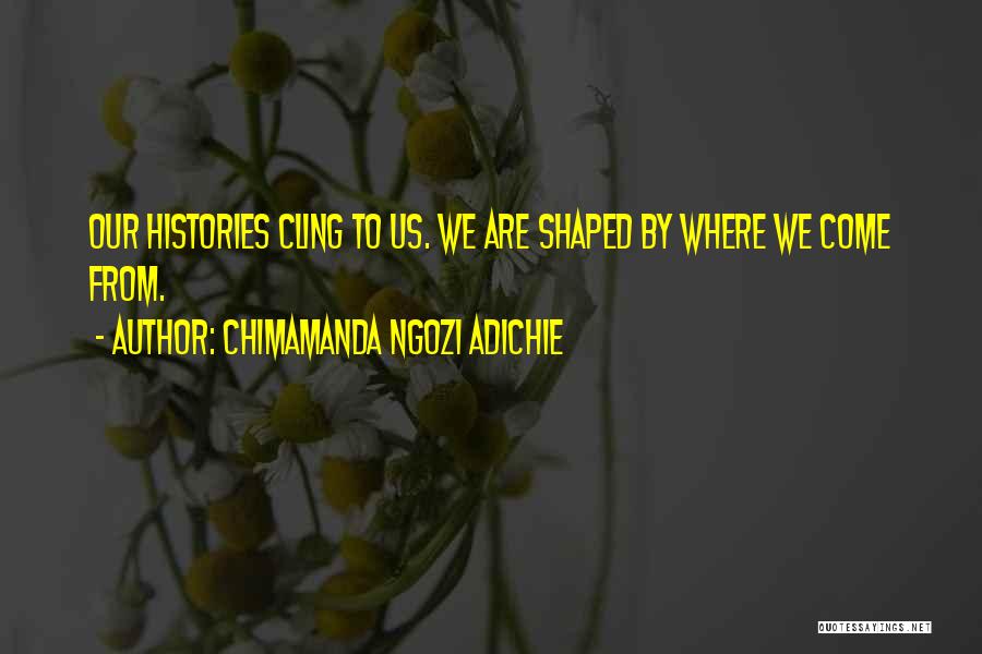 Chimamanda Ngozi Adichie Quotes: Our Histories Cling To Us. We Are Shaped By Where We Come From.