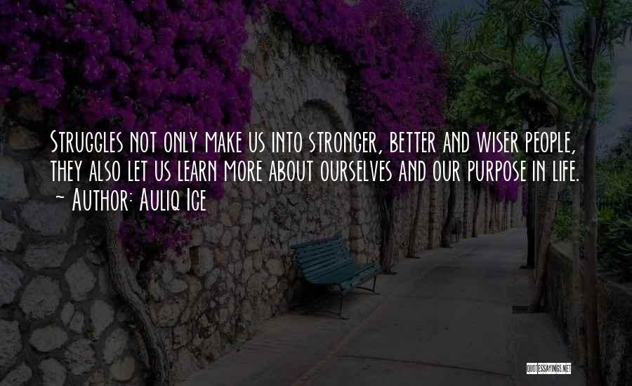 Auliq Ice Quotes: Struggles Not Only Make Us Into Stronger, Better And Wiser People, They Also Let Us Learn More About Ourselves And