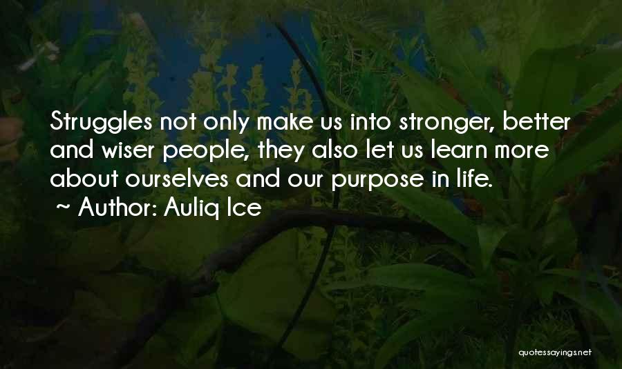 Auliq Ice Quotes: Struggles Not Only Make Us Into Stronger, Better And Wiser People, They Also Let Us Learn More About Ourselves And