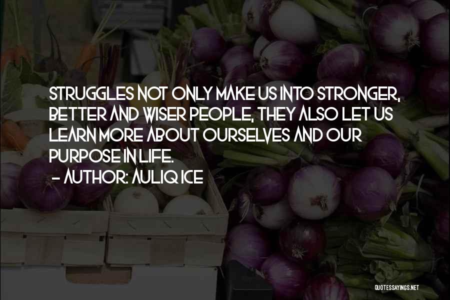 Auliq Ice Quotes: Struggles Not Only Make Us Into Stronger, Better And Wiser People, They Also Let Us Learn More About Ourselves And