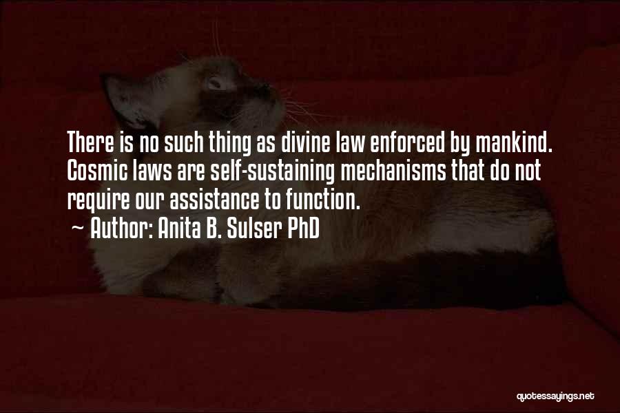 Anita B. Sulser PhD Quotes: There Is No Such Thing As Divine Law Enforced By Mankind. Cosmic Laws Are Self-sustaining Mechanisms That Do Not Require