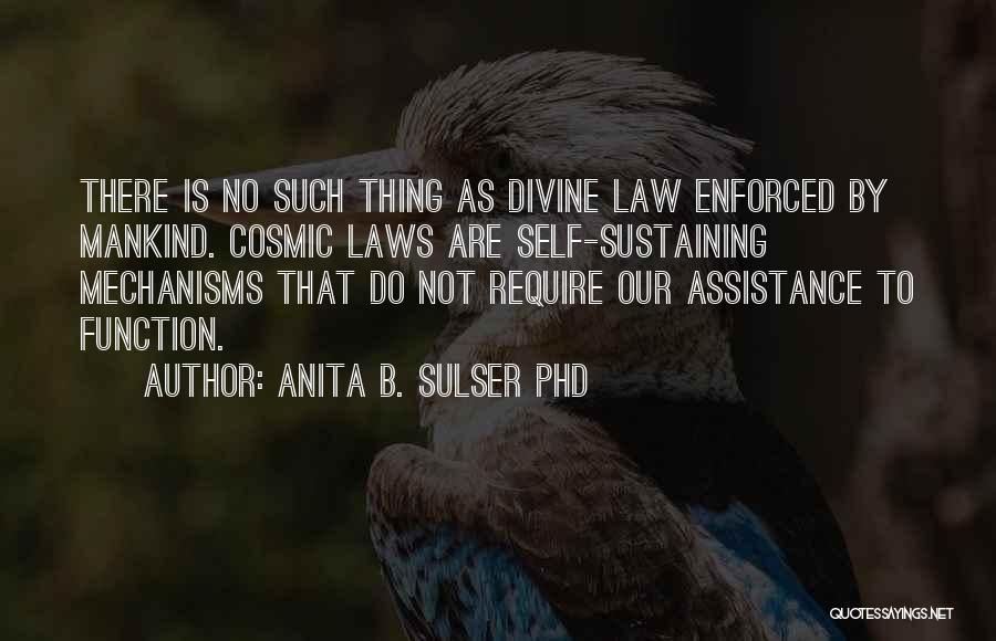 Anita B. Sulser PhD Quotes: There Is No Such Thing As Divine Law Enforced By Mankind. Cosmic Laws Are Self-sustaining Mechanisms That Do Not Require