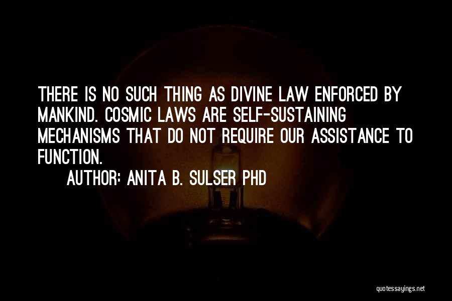 Anita B. Sulser PhD Quotes: There Is No Such Thing As Divine Law Enforced By Mankind. Cosmic Laws Are Self-sustaining Mechanisms That Do Not Require