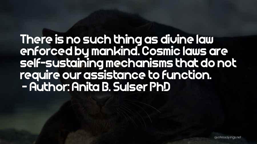 Anita B. Sulser PhD Quotes: There Is No Such Thing As Divine Law Enforced By Mankind. Cosmic Laws Are Self-sustaining Mechanisms That Do Not Require