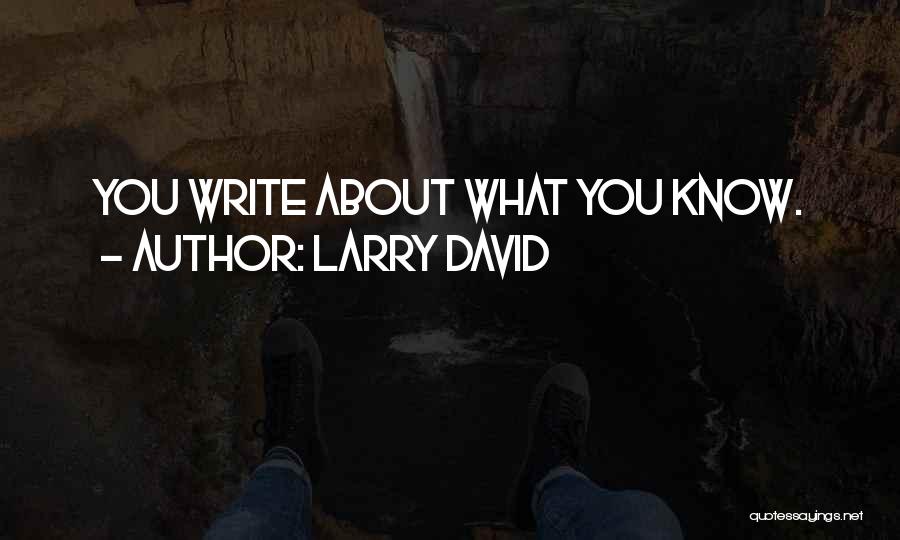 Larry David Quotes: You Write About What You Know.