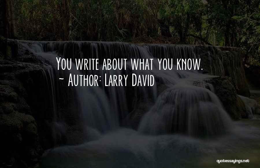 Larry David Quotes: You Write About What You Know.