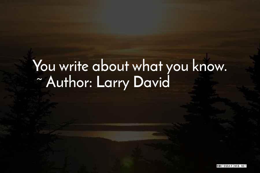 Larry David Quotes: You Write About What You Know.