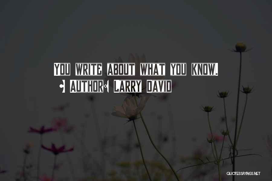 Larry David Quotes: You Write About What You Know.