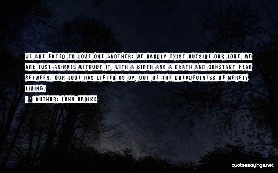 John Updike Quotes: We Are Fated To Love One Another; We Hardly Exist Outside Our Love, We Are Just Animals Without It, With