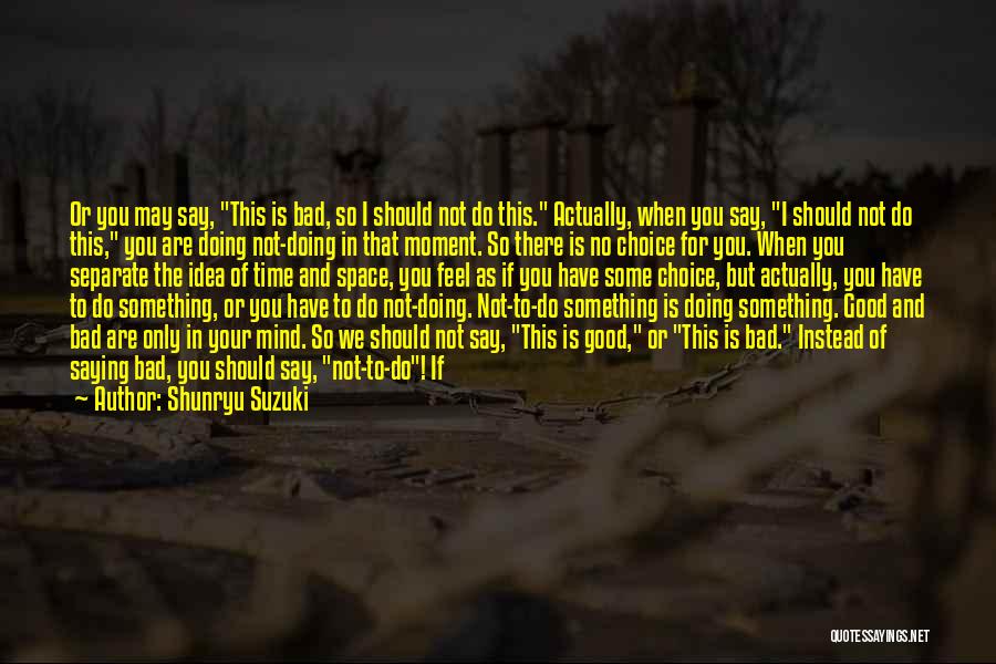 Shunryu Suzuki Quotes: Or You May Say, This Is Bad, So I Should Not Do This. Actually, When You Say, I Should Not