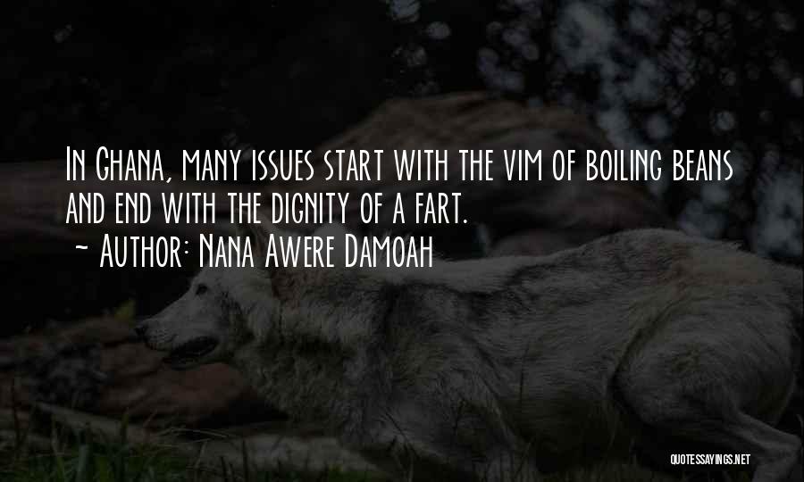 Nana Awere Damoah Quotes: In Ghana, Many Issues Start With The Vim Of Boiling Beans And End With The Dignity Of A Fart.