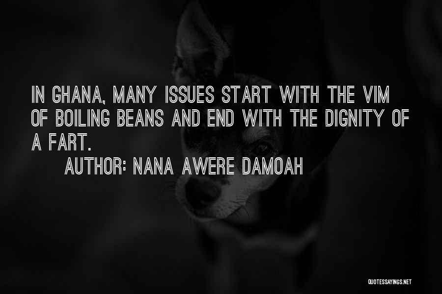 Nana Awere Damoah Quotes: In Ghana, Many Issues Start With The Vim Of Boiling Beans And End With The Dignity Of A Fart.