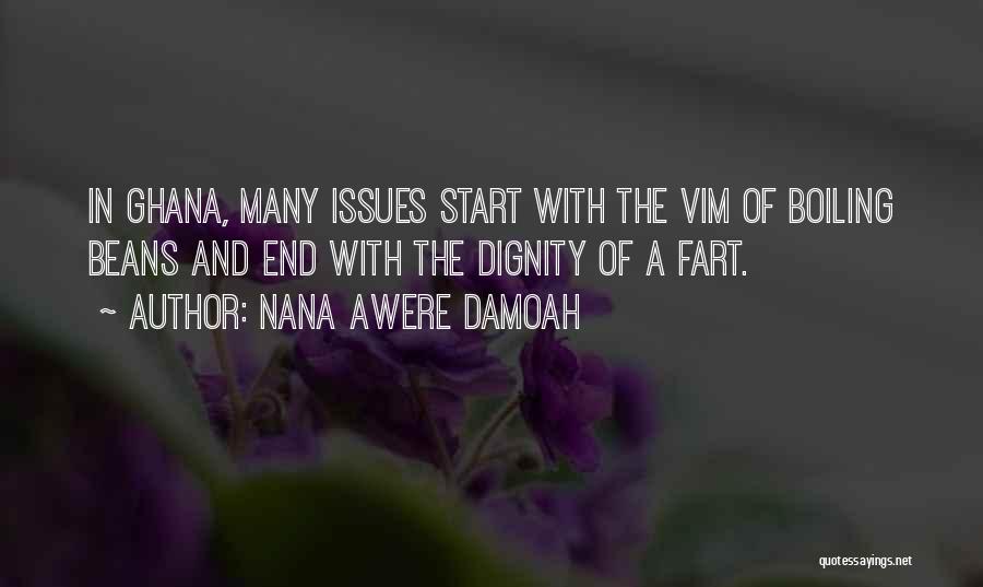 Nana Awere Damoah Quotes: In Ghana, Many Issues Start With The Vim Of Boiling Beans And End With The Dignity Of A Fart.