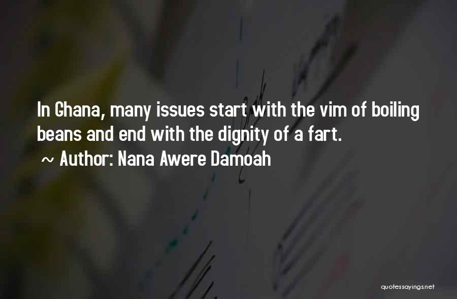 Nana Awere Damoah Quotes: In Ghana, Many Issues Start With The Vim Of Boiling Beans And End With The Dignity Of A Fart.