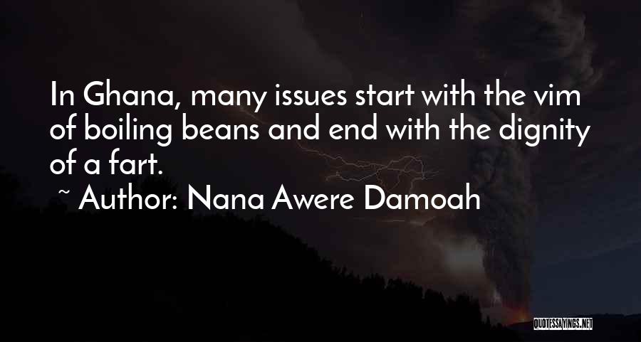 Nana Awere Damoah Quotes: In Ghana, Many Issues Start With The Vim Of Boiling Beans And End With The Dignity Of A Fart.