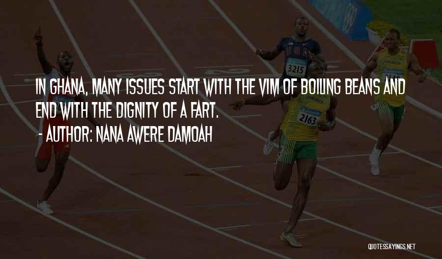 Nana Awere Damoah Quotes: In Ghana, Many Issues Start With The Vim Of Boiling Beans And End With The Dignity Of A Fart.