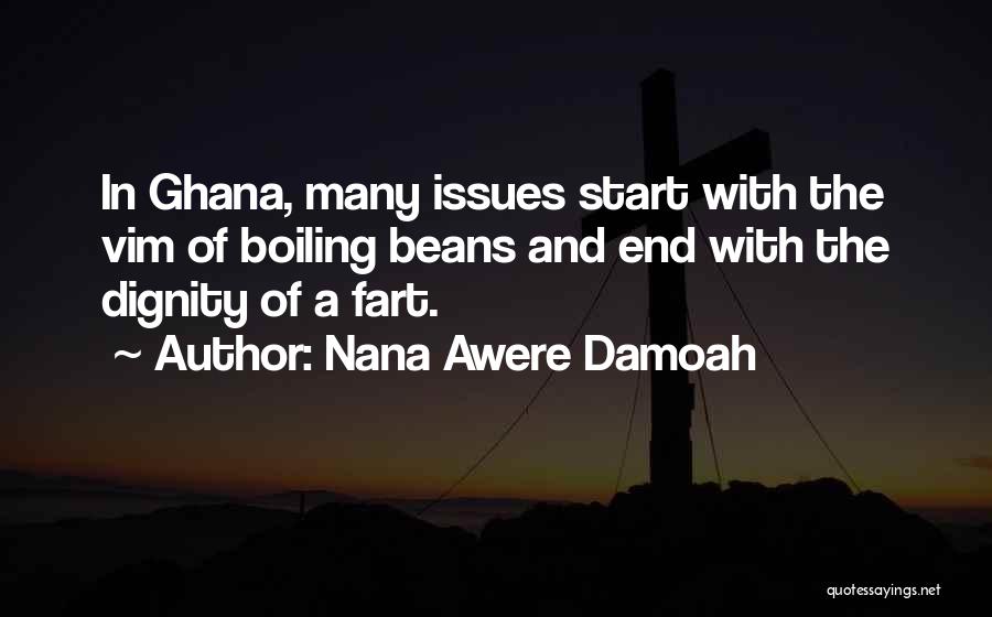 Nana Awere Damoah Quotes: In Ghana, Many Issues Start With The Vim Of Boiling Beans And End With The Dignity Of A Fart.