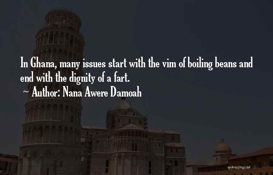 Nana Awere Damoah Quotes: In Ghana, Many Issues Start With The Vim Of Boiling Beans And End With The Dignity Of A Fart.