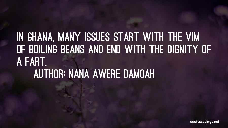 Nana Awere Damoah Quotes: In Ghana, Many Issues Start With The Vim Of Boiling Beans And End With The Dignity Of A Fart.