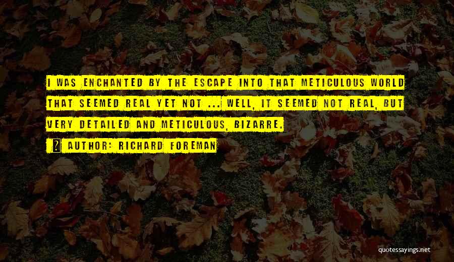 Richard Foreman Quotes: I Was Enchanted By The Escape Into That Meticulous World That Seemed Real Yet Not ... Well, It Seemed Not