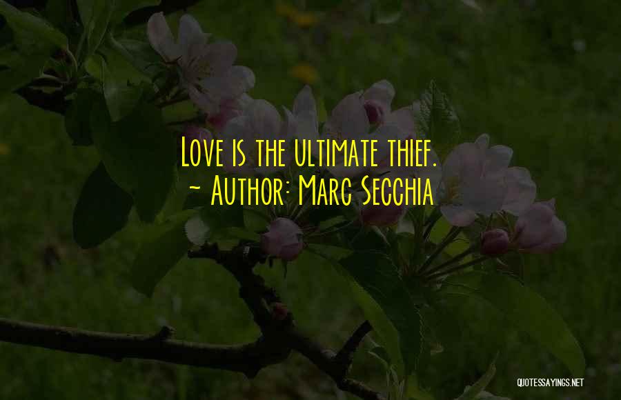 Marc Secchia Quotes: Love Is The Ultimate Thief.