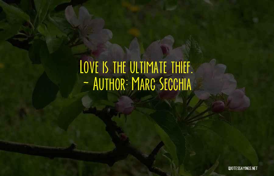 Marc Secchia Quotes: Love Is The Ultimate Thief.