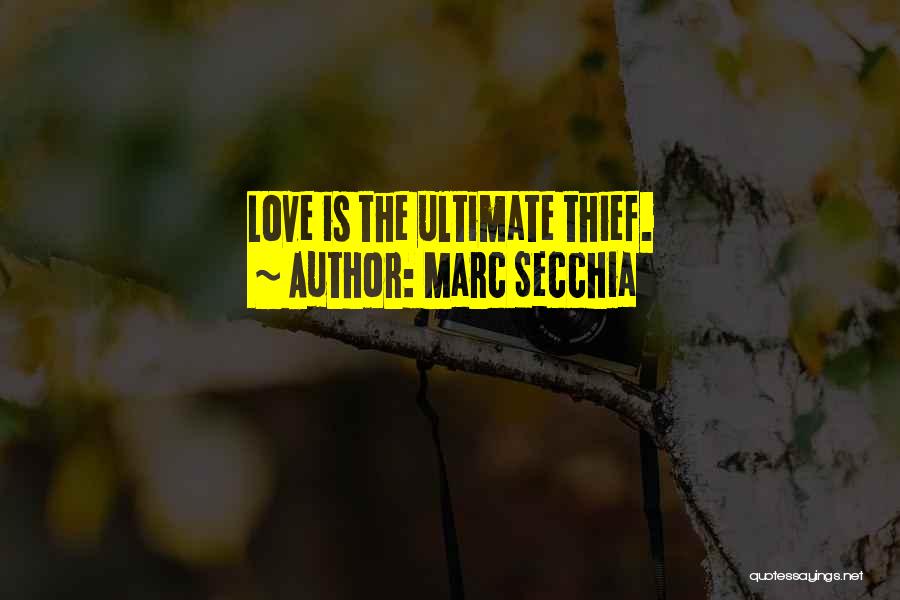 Marc Secchia Quotes: Love Is The Ultimate Thief.