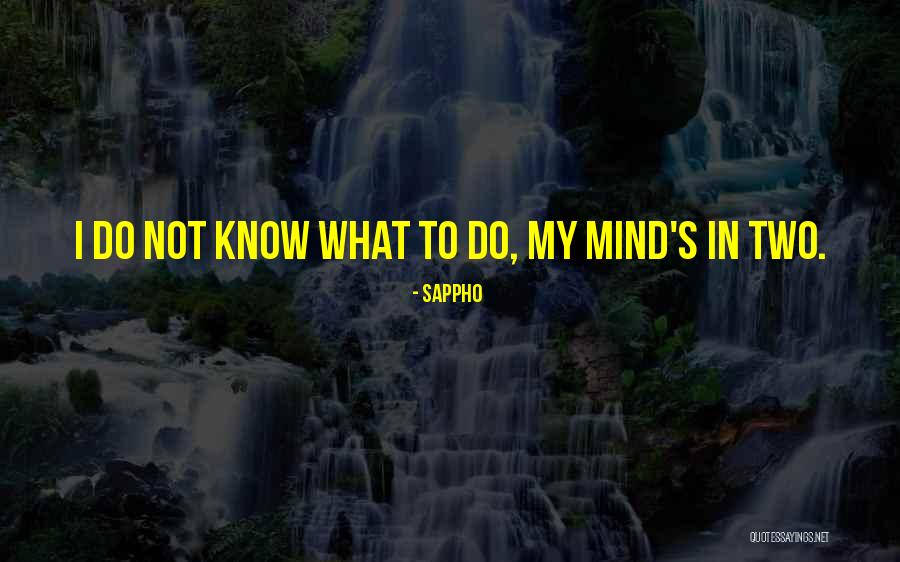 45 And 47 Stella Street Quotes By Sappho 45 And 47 Stella Street Quotes By Sappho